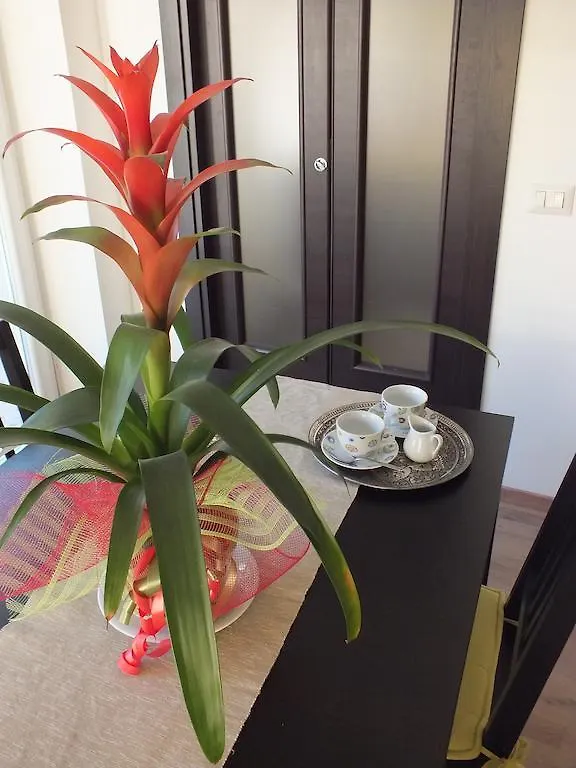 Romantic Holiday Rome B&B